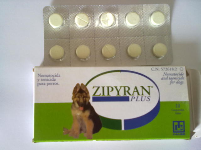 pastillas para lombrices intestinales